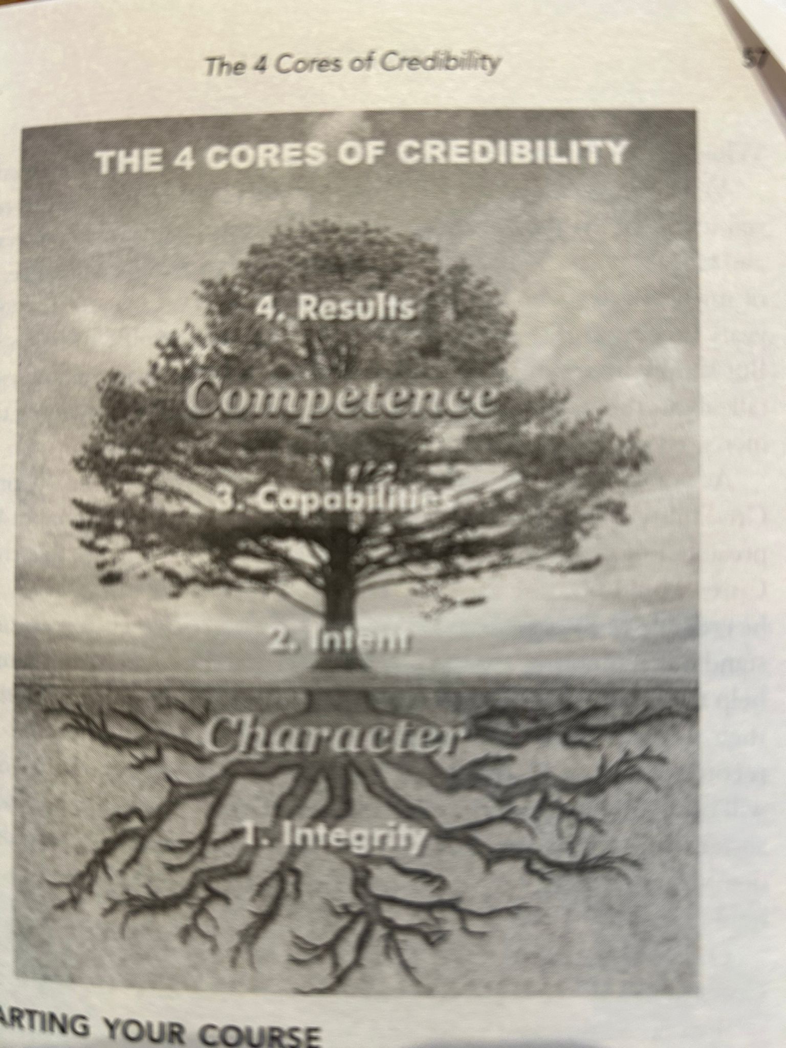 Diagrama The 4 Cores of Credibility: árbol con integridad, intención, capacidades y resultados